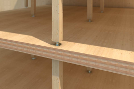 Structus: our high-performance connector for vertical load transfer in multi-storey mass-timber construction Structus: our high-performance connector for vertical load transfer in multi-storey mass-timber construction