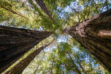 EPDs und ihr Nutzen bei Eurotec